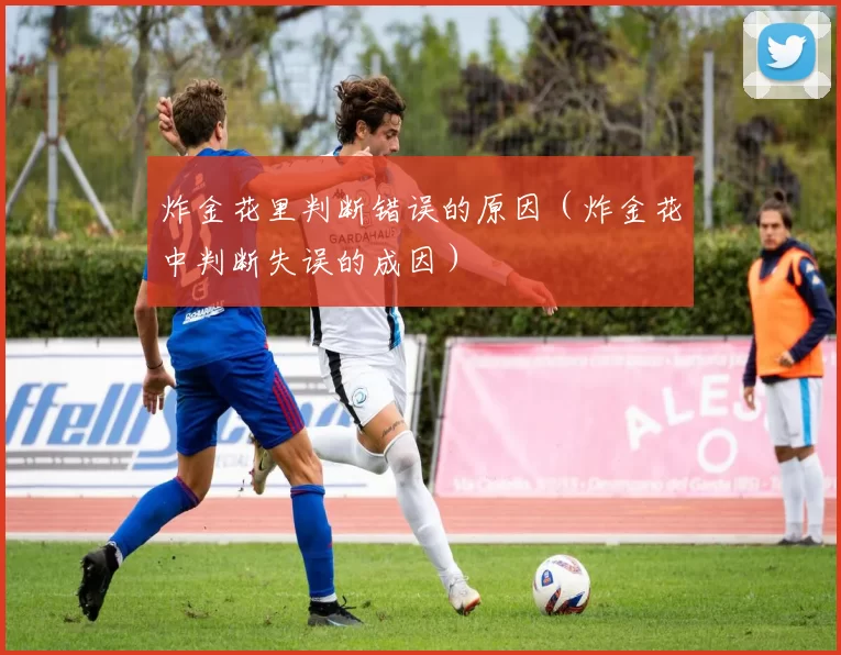 炸金花里判断错误的原因（炸金花中判断失误的成因）