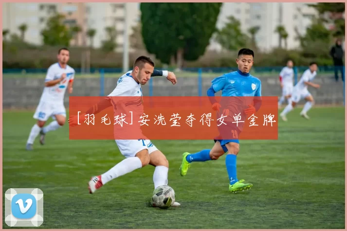 [羽毛球]安洗莹夺得女单金牌
