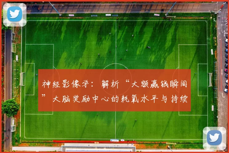 神经影像学：解析“大额赢钱瞬间”大脑奖励中心的耗氧水平与持续时间。（神经影像揭示大奖得手瞬间大脑奖励系统的耗氧变化及持续时长）