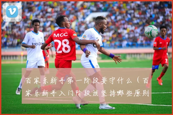 百家乐新手第一阶段要守什么（百家乐新手入门阶段该坚持哪些原则）