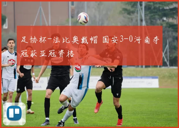 足协杯-法比奥戴帽 国安3-0河南夺冠获亚冠资格