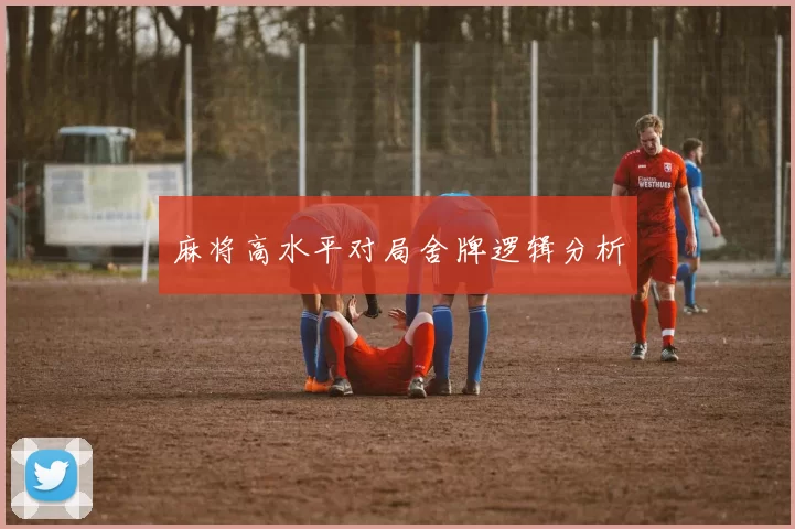 麻将高水平对局舍牌逻辑分析