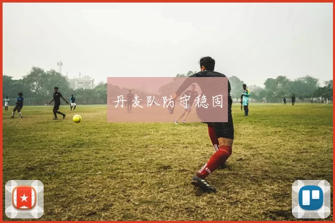 丹麦队防守稳固
